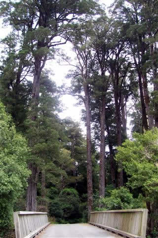 The Onamalutu Reserve The Onamalutu Reserve